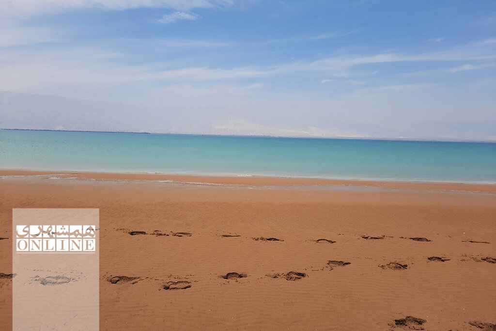 ببینید | وارمی؛ جزیرهای خارقالعاده که در آب ناپدید میشود | بزرگترین جنگل حرای خاورمیانه اینجاست | جنگل دریایی که ابوعلی سینا در آن پا گذاشت