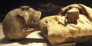 هشدار درباره قارچ‌های مرموزی که در موزه رشد کرده است | مومیایی‌ها می‌توانند ما را بکشند؟