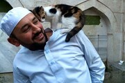تصاویر بالا رفتن یک گربه روی دوش امام اقامه نماز | واکنش امام جماعت را ببینید
