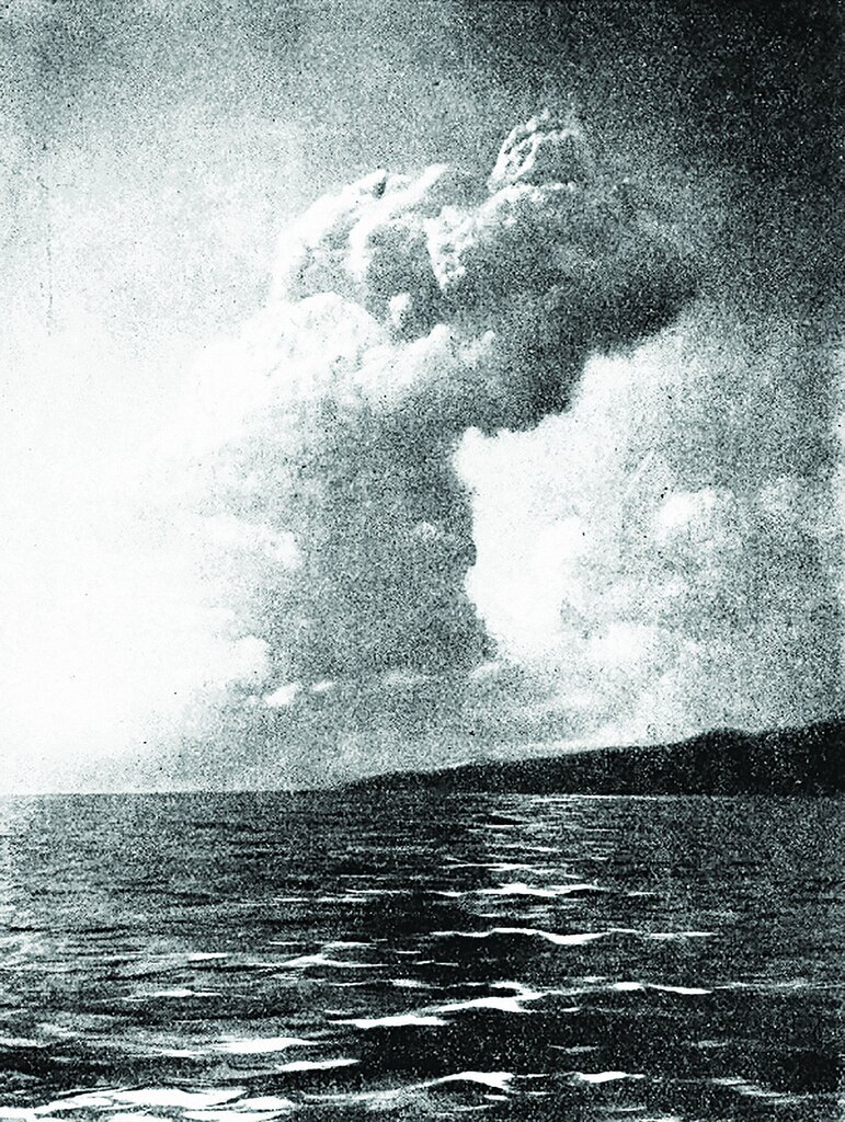 درباره باور نکردنیترین حملات حشــرات چه میدانید؟ ؛ از حشرات پولخوار تا حمله زنبورهای سرخ قاتل! | هجوم حشرات گاهی از هر اتفاق دیگری وحشتناک تر است