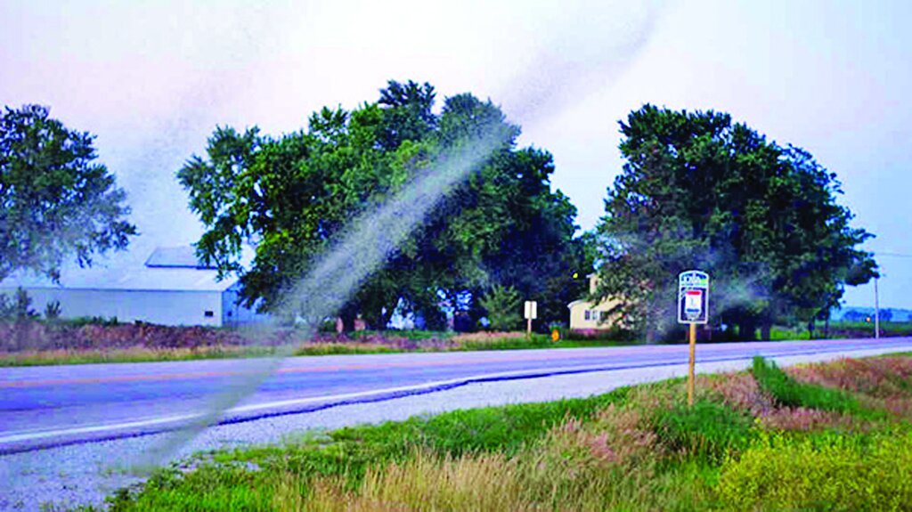 درباره باور نکردنیترین حملات حشــرات چه میدانید؟ ؛ از حشرات پولخوار تا حمله زنبورهای سرخ قاتل! | هجوم حشرات گاهی از هر اتفاق دیگری وحشتناک تر است