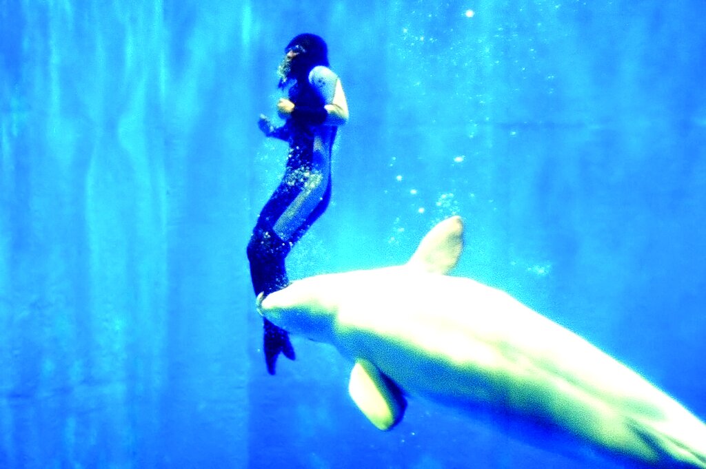 حیوانات فداکار