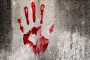 قاتل ۱۲ عضو خانواده کرمانی کشته شد | ۴ کودک بین قربانیان قاتل وحشی