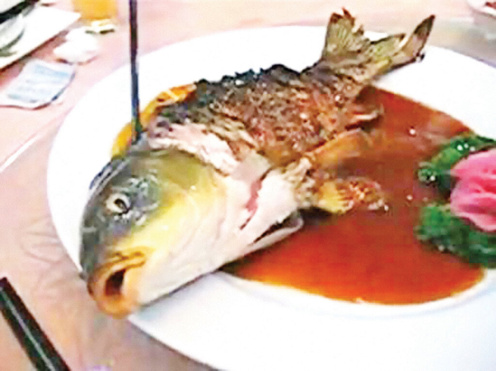 لیستی از عجیبترین غذاهایی که زنده زنده سرو میشوند | از لحظه تکه تکه شدن اختاپوس بیچاره تا تماشای کرمهای متحرک در یکی از گرانترین پنیرهای جهان