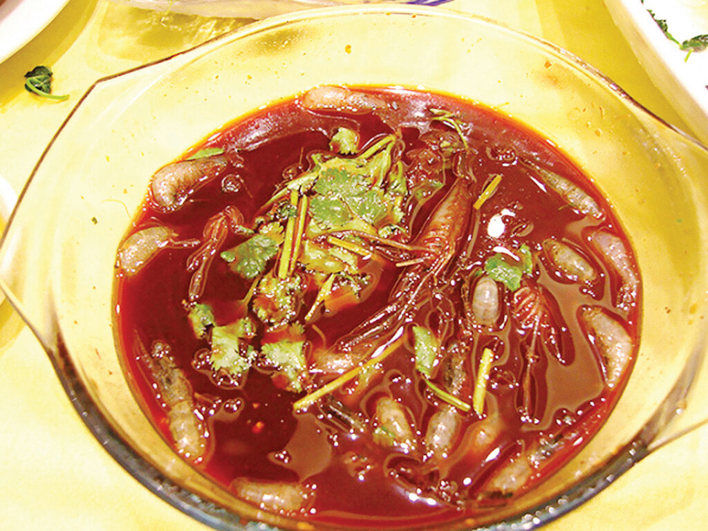 لیستی از عجیبترین غذاهایی که زنده زنده سرو میشوند | از لحظه تکه تکه شدن اختاپوس بیچاره تا تماشای کرمهای متحرک در یکی از گرانترین پنیرهای جهان