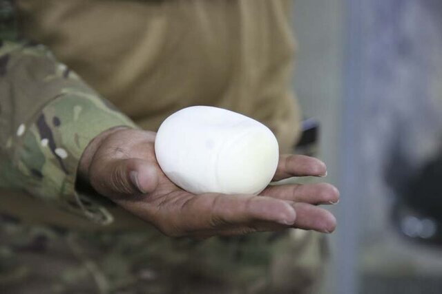 تصاویری از تخم‌گذاری مار غول‌پیکر پیتون در کرج