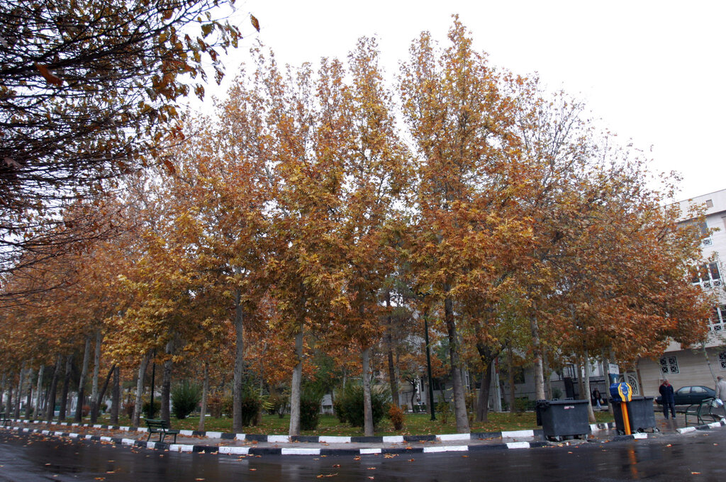 بازارچه نازیآباد هزار آرزو را برآورده میکرد!