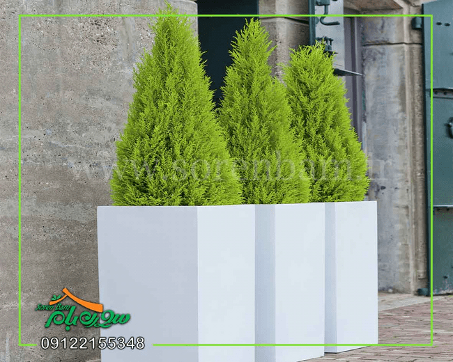 طراحی و اجرای بام سبز چگونه انجام می گیرد؟