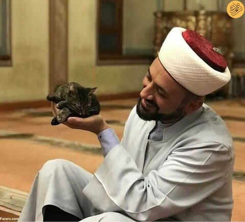 امام جماعتی که درِ مسجد را به روی گربه‌های خیابانی باز کرد