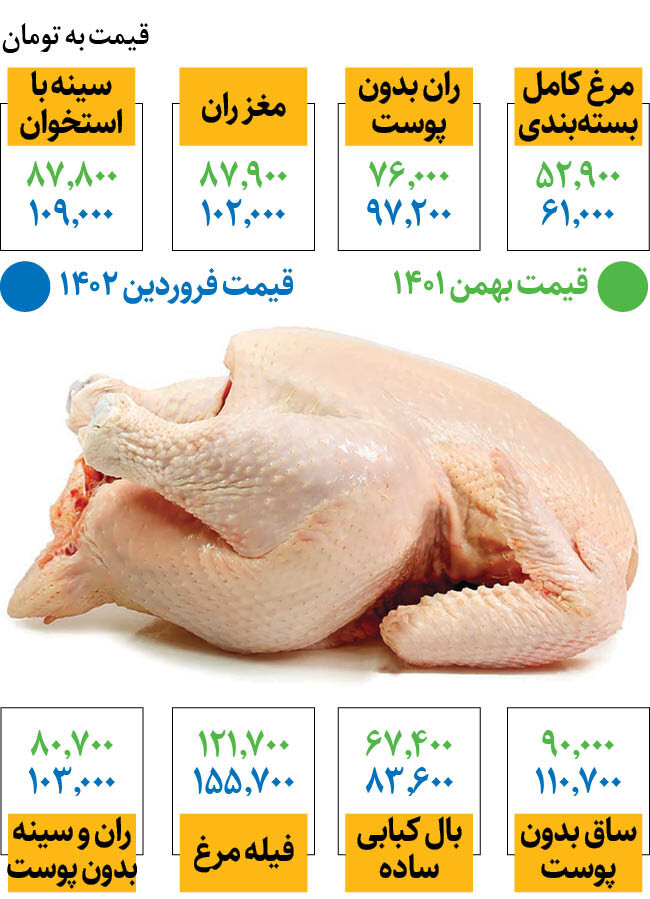 آخرین تغییرات قیمت مرغ در میادین |  هر کیلو مرغ چند شد؟