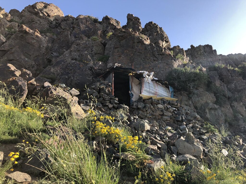 یونجهزار؛ مسیری سبز برای استراحت زائران