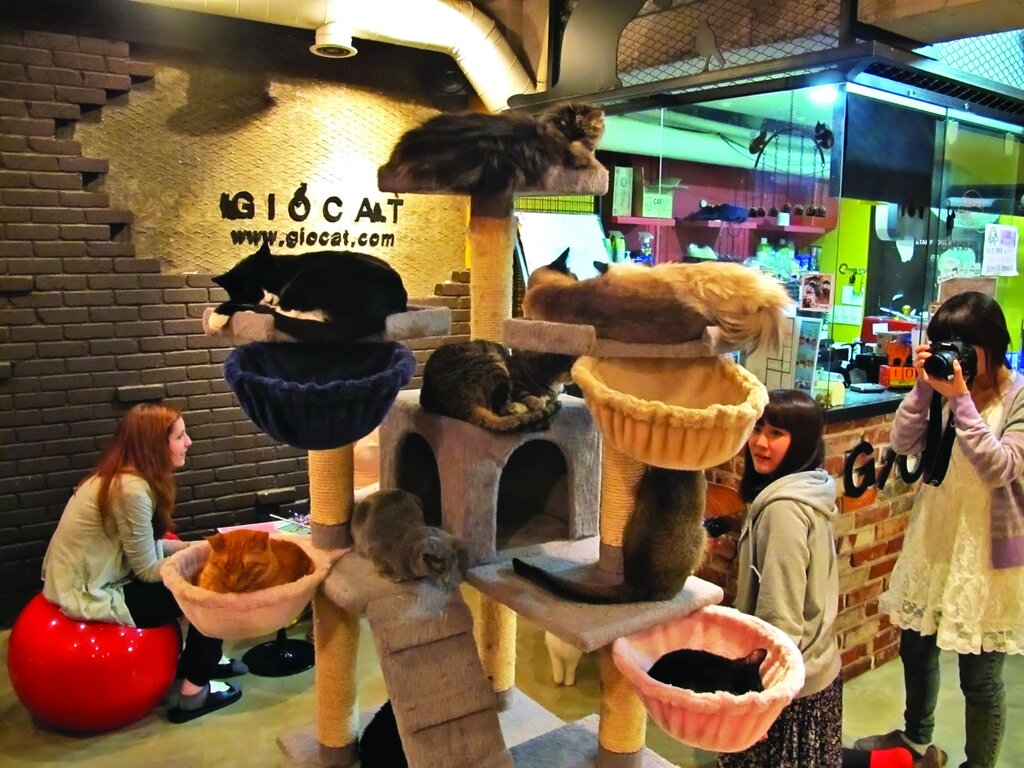 چـــــشم‌ بادامی‌های ســردرگـم |‌ عادت‌ها و رسم‌های عجیب ژاپنی