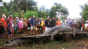 تصاویر | شکار بزرگ‌ترین کروکودیل آدمخوار جهان | این تمساح ۶متر طول داشت | شکار ۳۰۰ انسان توسط یک کروکودیل آدمخوار | این کروکودیل‌ها صد سال عمر می‌کنند