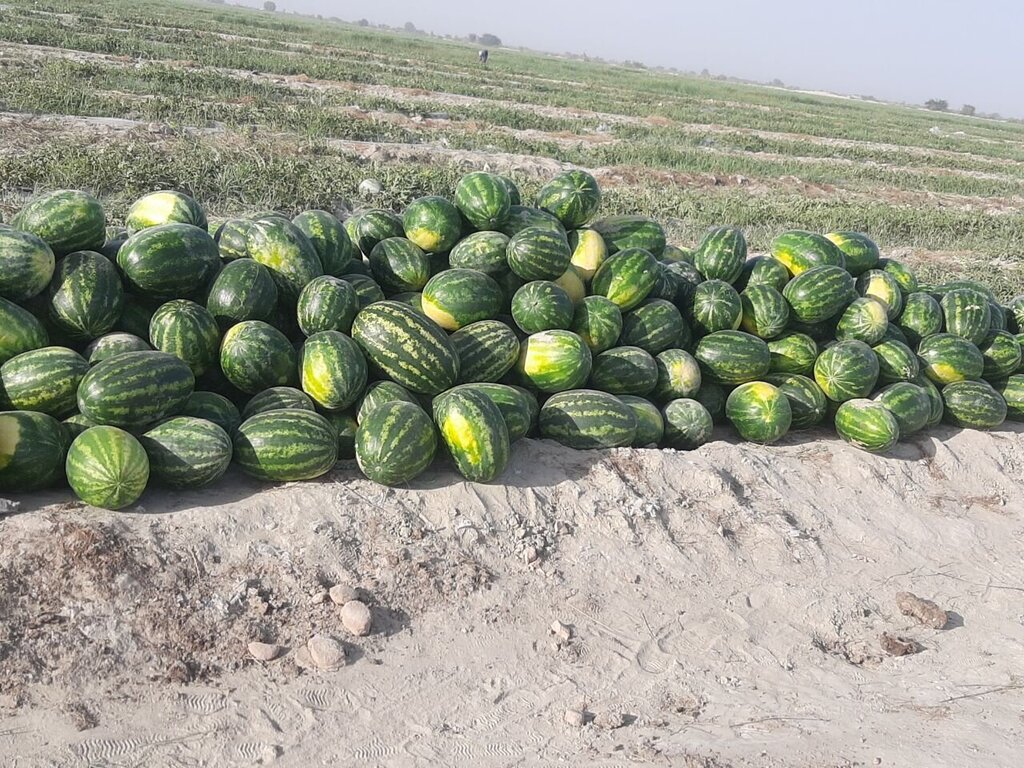 آذربایجان شرقی