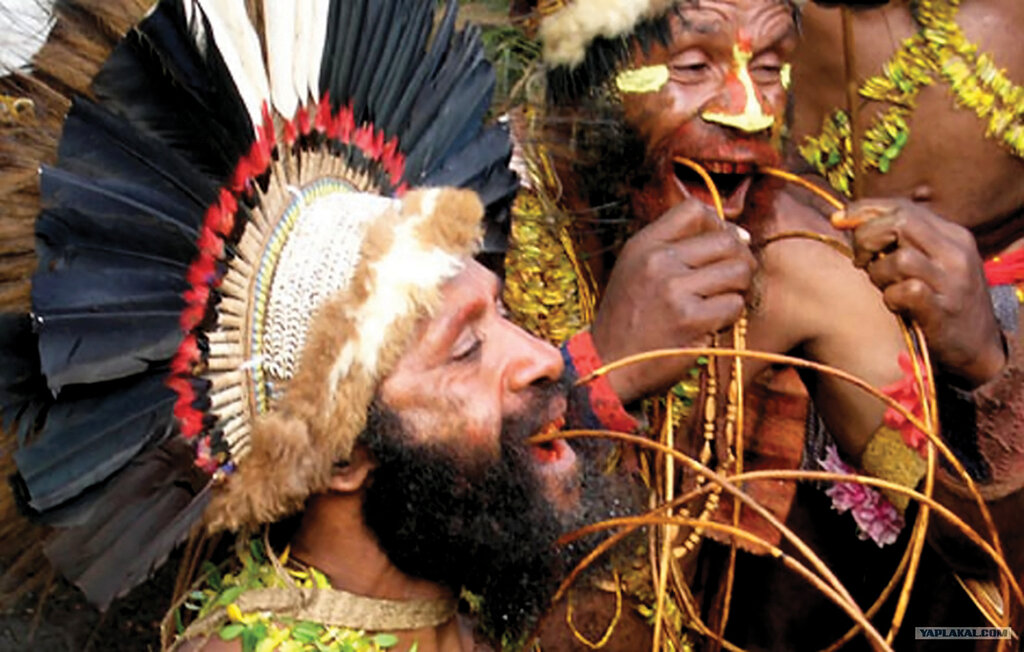 آدمخوارهای قرن بـیست و یکم