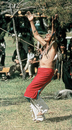 آدمخوارهای قرن بـیست و یکم