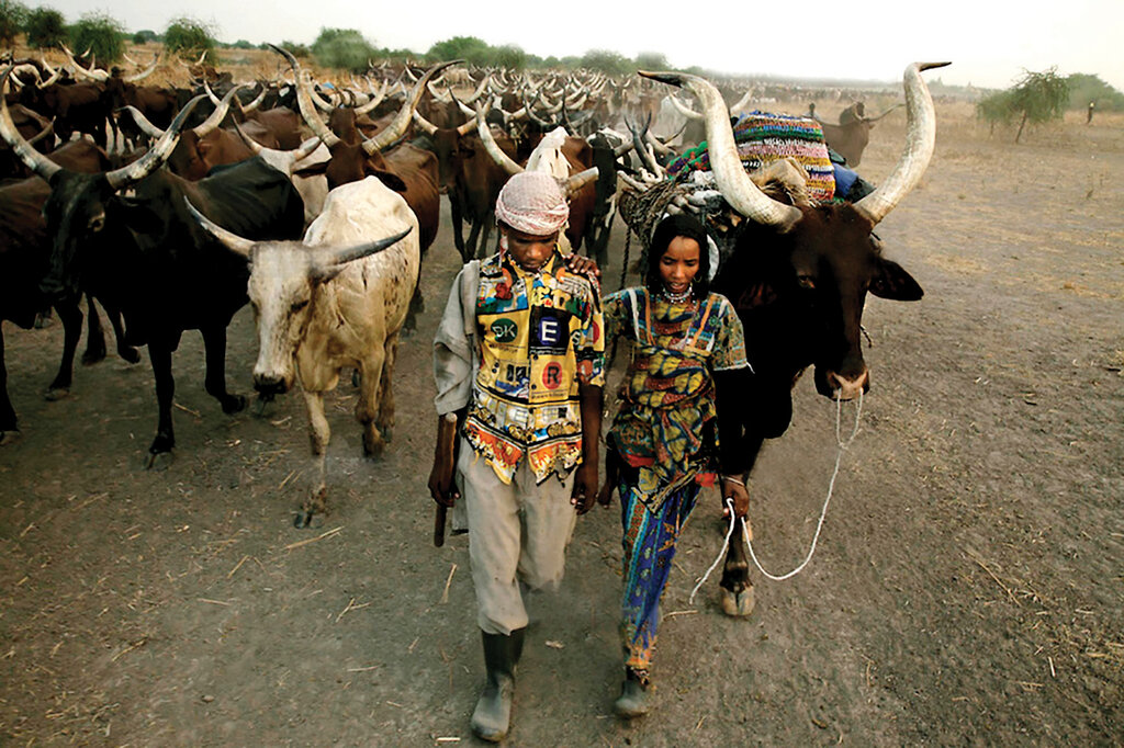 آدمخوارهای قرن بـیست و یکم