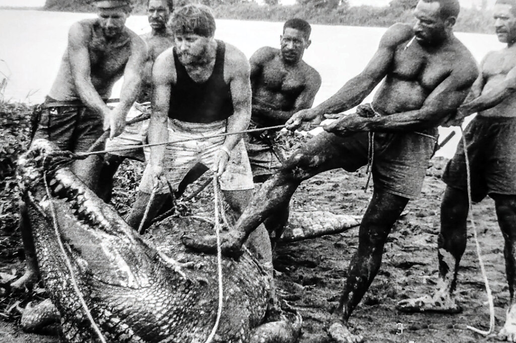 تصاویر | شکار بزرگ‌ترین کروکودیل آدمخوار جهان | این تمساح ۶متر طول داشت | شکار ۳۰۰ انسان توسط یک کروکودیل آدمخوار | این کروکودیل‌ها صد سال عمر می‌کنند
