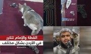 ببینید | ادامه داستان امام جماعت و گربه؛ این بار زایمان یک گربه در منبر مسجد