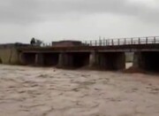 ببینید | بارش سیل آسا در دهلران | رودخانه میمه طغیان کرد