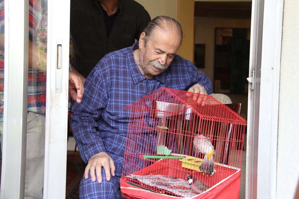 پرندهها پس از آزاد شدن، از خانه محمدعلی کشاورز بیرون نمیرفتند! + فیلم و عکس