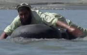 ببینید | تیوب سواری معلمان افغان برای عبور از رودخانه