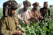 تصاویر عجیب بازار فروش تریاک در افغانستان | تجارتی پر سود در دوران طالبان