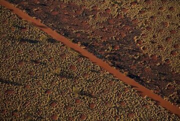دایره های جنی سرزمین بومیان استرالیا