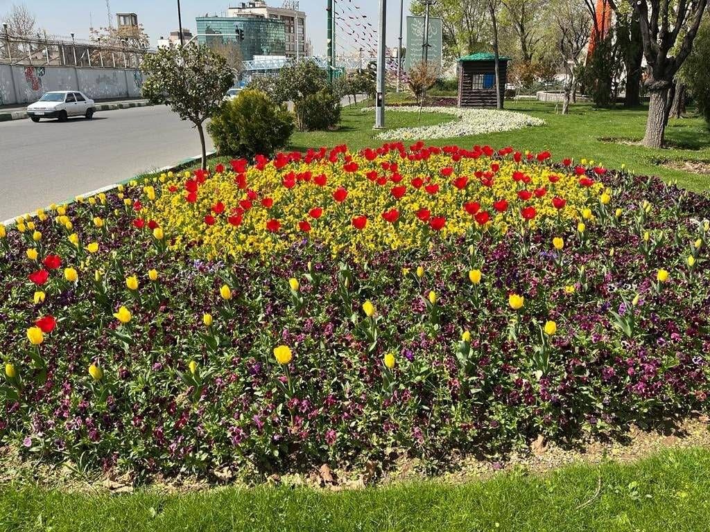 شمال تهران فرش گل شد