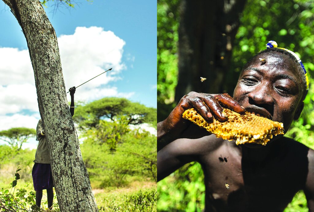 سفر به دوران دایناسورها