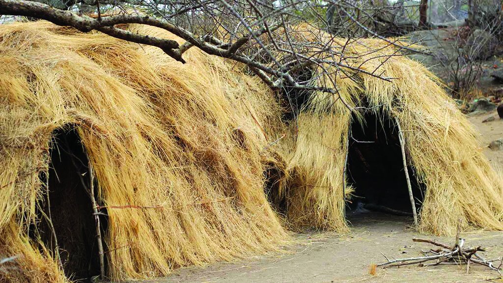 سفر به دوران دایناسورها