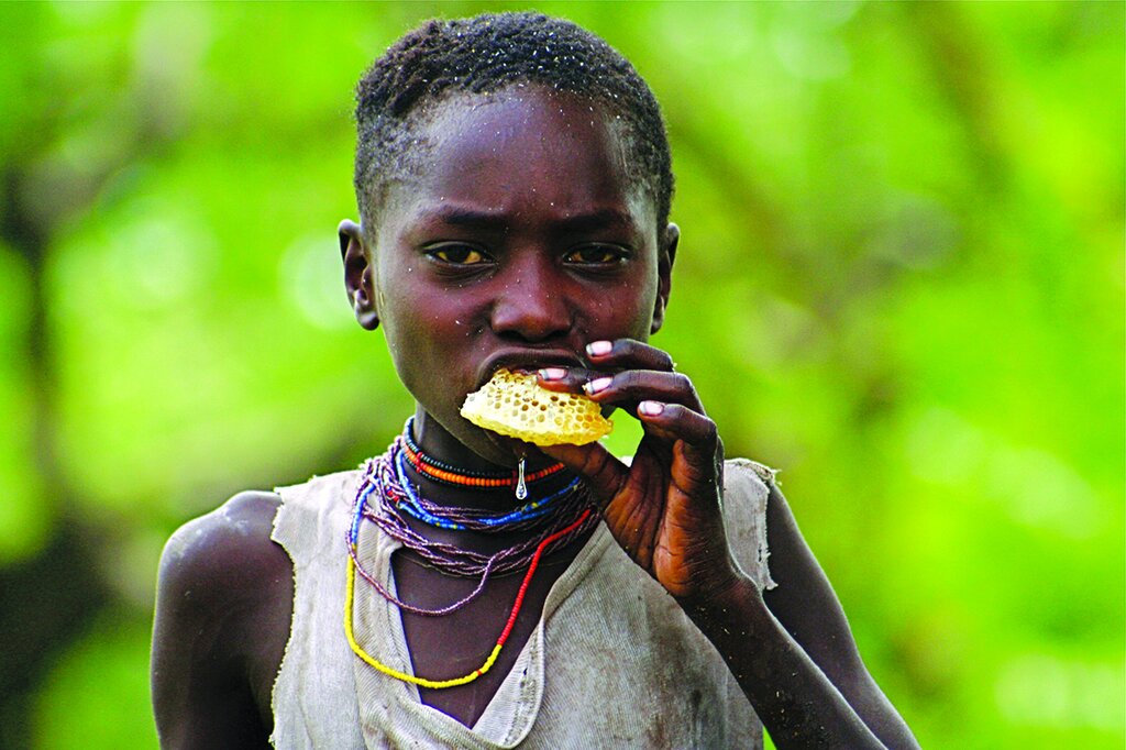 سفر به دوران دایناسورها