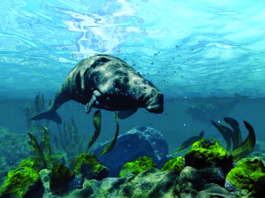 آیا میتوان به بازگشت دوباره حیوانات منقرض شده امیدوار بود؟