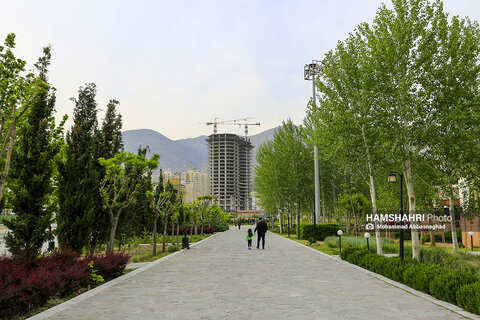 دریاچه چیتگر تهران در آغاز بهار