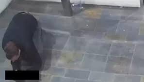 شاهد ناشناس در جنایت مرد ایرانی ـ آمریکایی | ردپای زن خائن ایرانی در قتل باب لی | راز قتل بنیانگذار اپلیکیشن کشآپ فاش شد؟