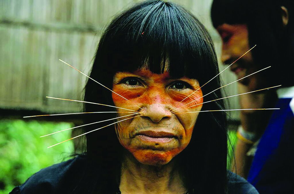 آنها آدمخوار نیستند!