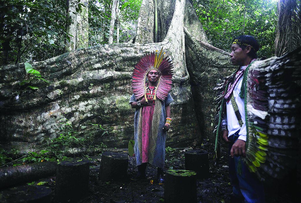 آنها آدمخوار نیستند!