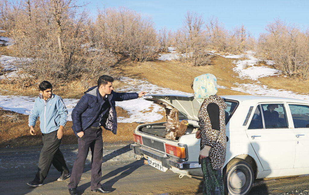 زوج جوان مریوانی که ناجی پرندهها و حیوانات شدند