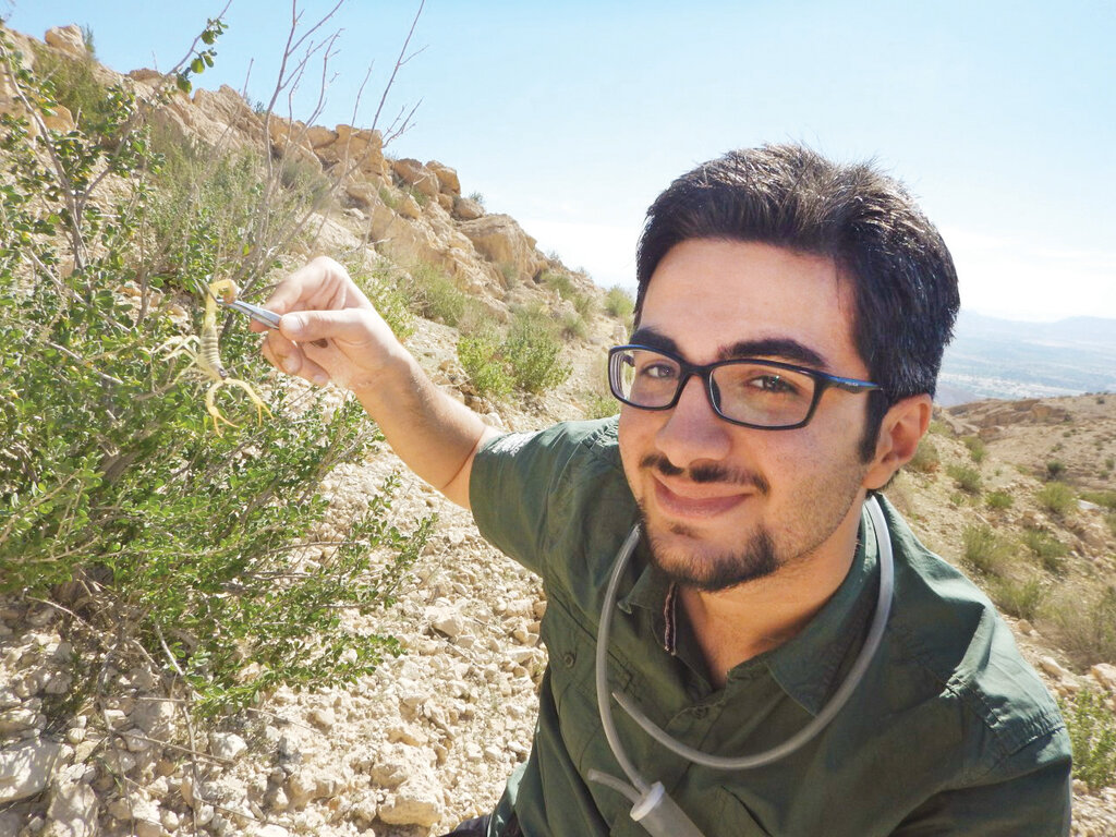 با اسپایدرمن ایران آشنا شوید | او در کنار خطرناکترین عنکبوتها زندگی میکند | عنکبوتهایم سوسک دوست دارند | این عنکبوت خطرناکترین زهر دنیا را دارد