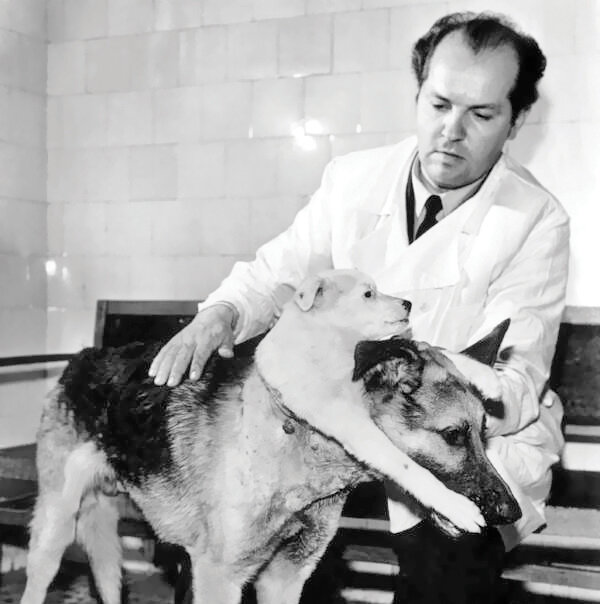 تصاویر | این سگ حرف میزند | مشهورترین سگهای تاریخ را بشناسید | از سگ فوتبالیست تا سگی با دومتر قد!