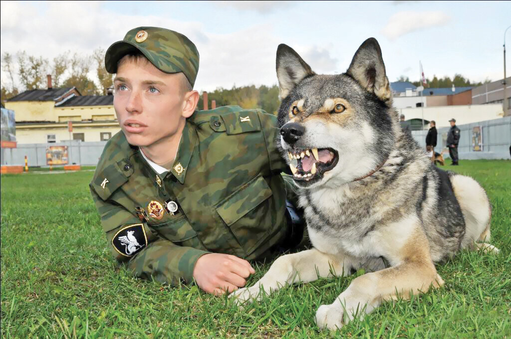 تصاویر | این سگ حرف میزند | مشهورترین سگهای تاریخ را بشناسید | از سگ فوتبالیست تا سگی با دومتر قد!