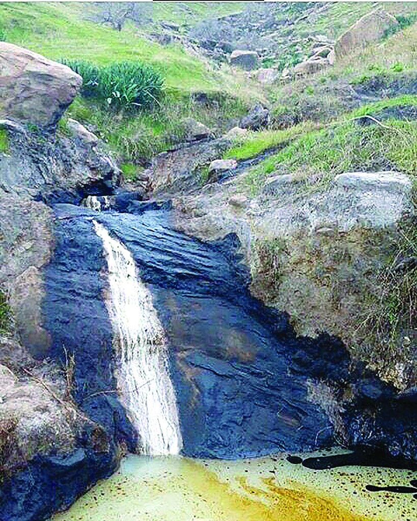 موزهای به وسعت خوزستـان