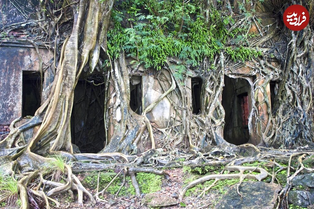 تصاویر ۸ شهر متروکه و ترسناک که به تسخیر طبیعت درآمدند