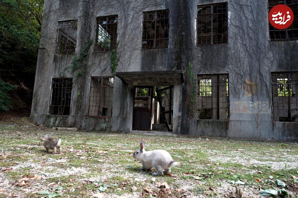 تصاویر ۸ شهر متروکه و ترسناک که به تسخیر طبیعت درآمدند