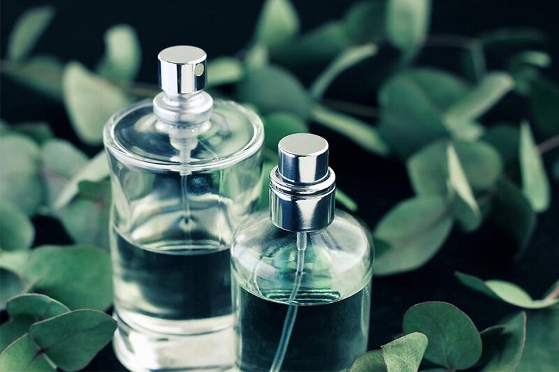 ۵ نکته مهم برای انتخاب عطر ایدهآل تابستانی | با این روش بینظیرترین رایحه ممکن را داشته باشید