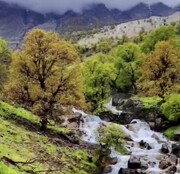 ببینید ا نمایی کم نظیر از بهشت ایران ؛ بارندگی‌ها اینجا را رویایی کرده است