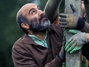 محسن تنابنده و طناز طباطبایی در مونیخ | آلمانی‌ها ۷ فیلم ایرانی را تماشا می‌کنند