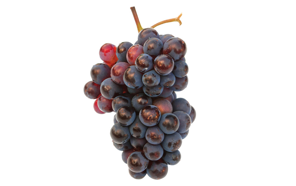 میوه ای که اکسیر جوانی است