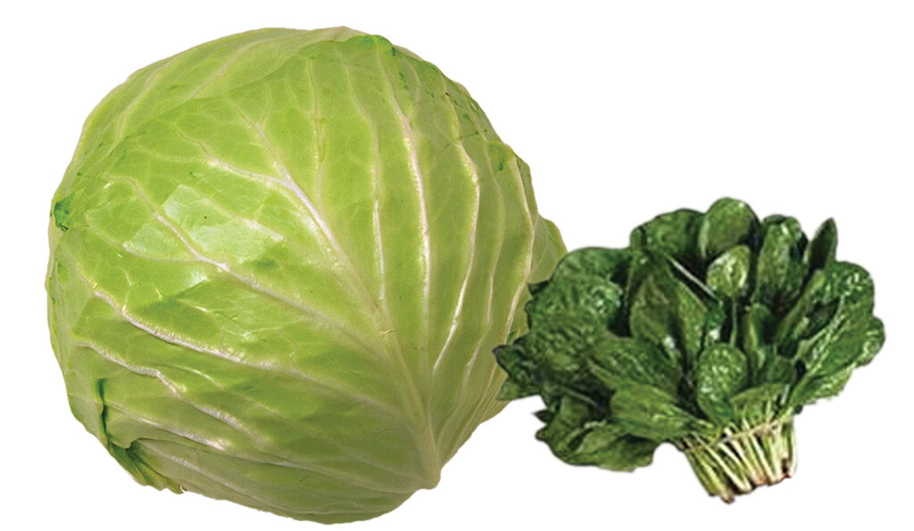 این ادویه شفا بخش هم شما را لاغر میکند و هم مشکلات مفصلی و آرتروزتان را درمان میکند | با این مواد غذایی سلامتتان را بهبود ببخشید