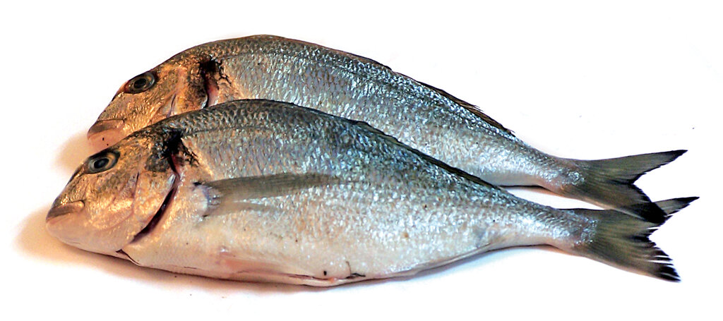 مهارتهای خانهداری | با این روش ساده از سیاه شدن موز در یخچال جلوگیری کنید | حشرههای سیاه کاهو را چگونه از بین ببریم؟